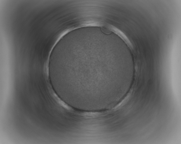 X0000113631236200909251214