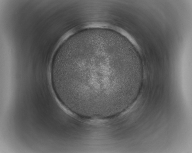 X0000113631237200909251214