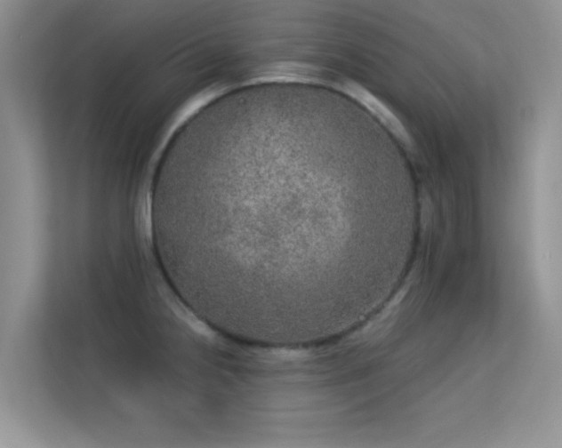 X0000113631238200909251214