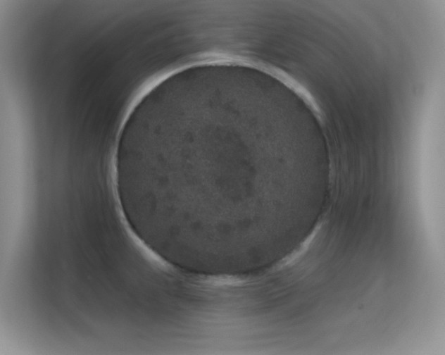 X0000113631239200909251214