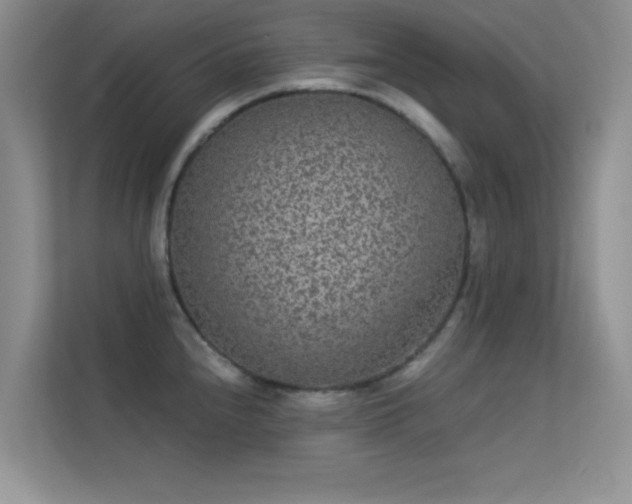 X0000113631240200909251214