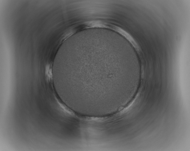 X0000113631241200909251214