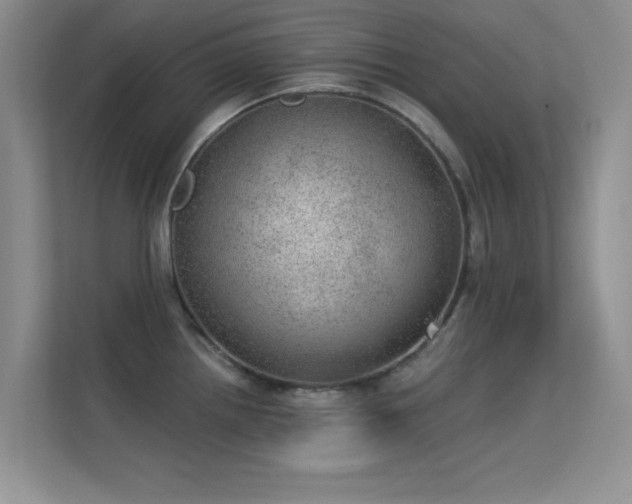 X0000113631242200909251214