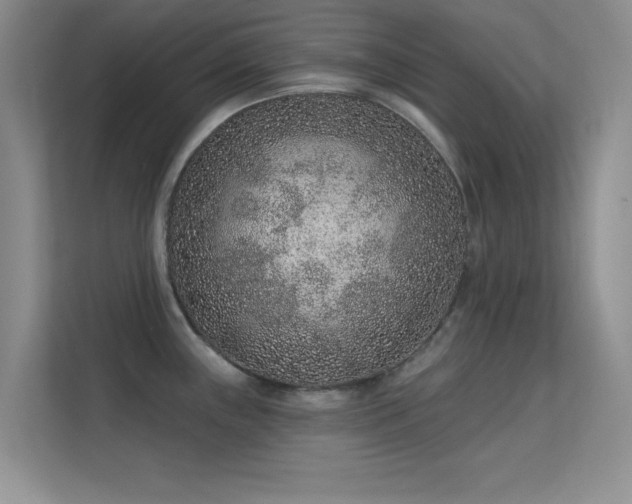X0000113631243200909251214