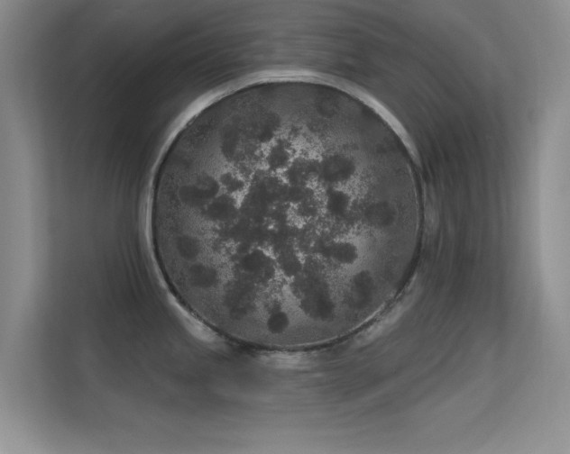 X0000113631245200909251214