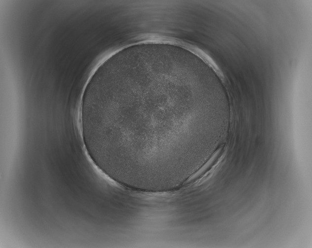 X0000113631247200909251214
