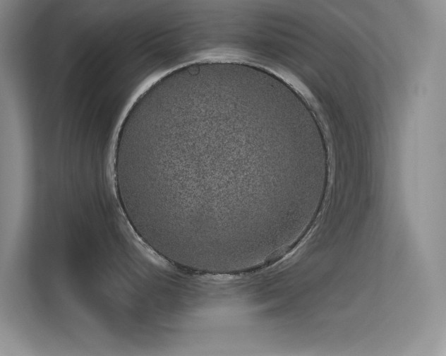 X0000113631248200909251214