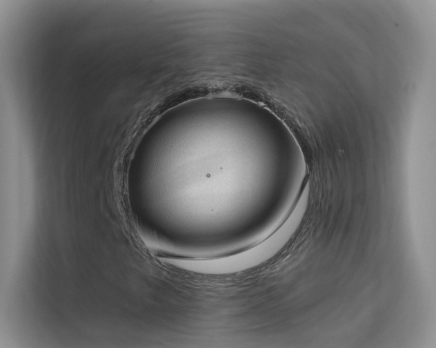 X0000113631249200909251213
