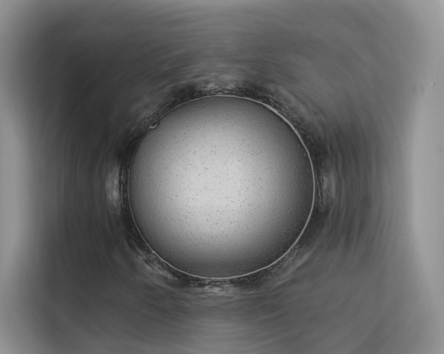 X0000113631250200909251213