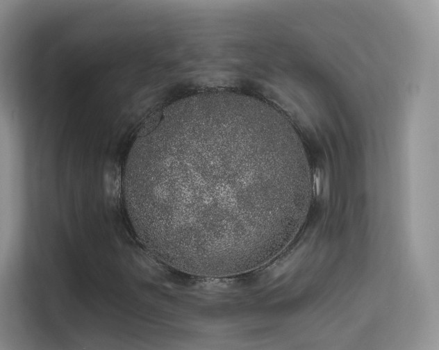 X0000113631251200909251213