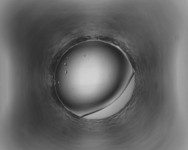 X0000113631253200909251213