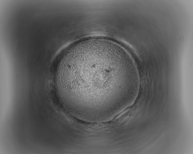 X0000113631255200909251213