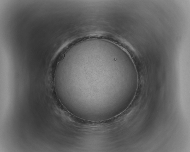 X0000113631256200909251213