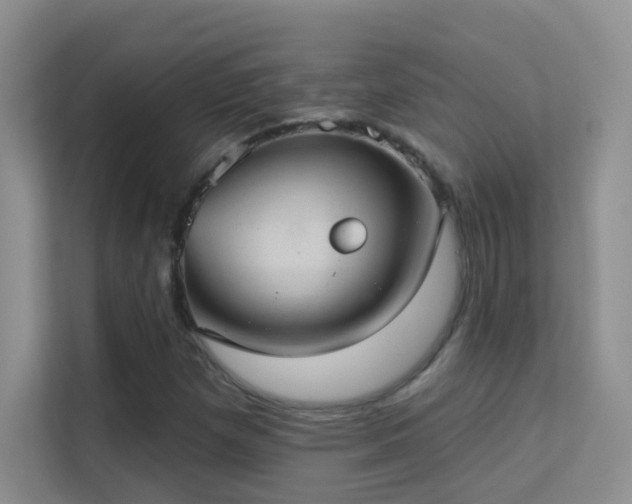 X0000113631257200909251213