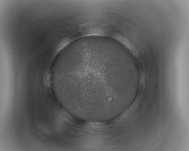 X0000113631258200909251213