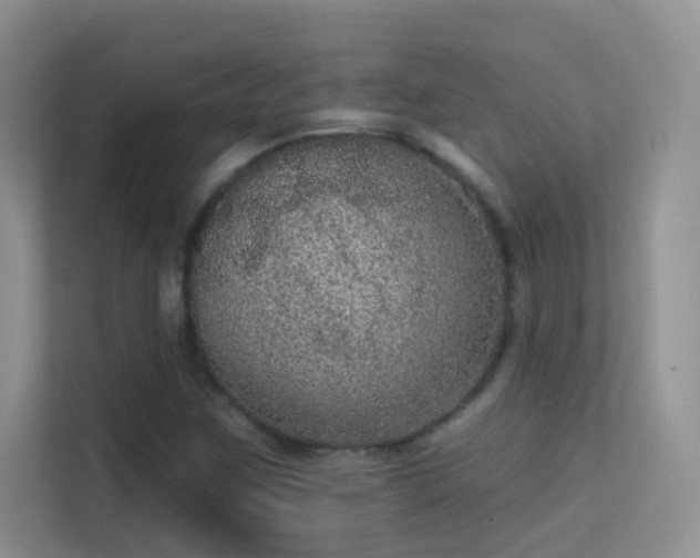 X0000113631259200909251213