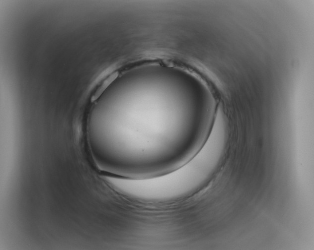 X0000113631261200909251213