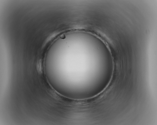 X0000113631262200909251213