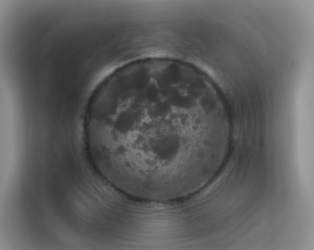 X0000113631263200909251213