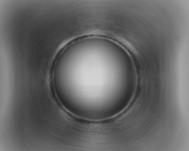X0000113631264200909251213