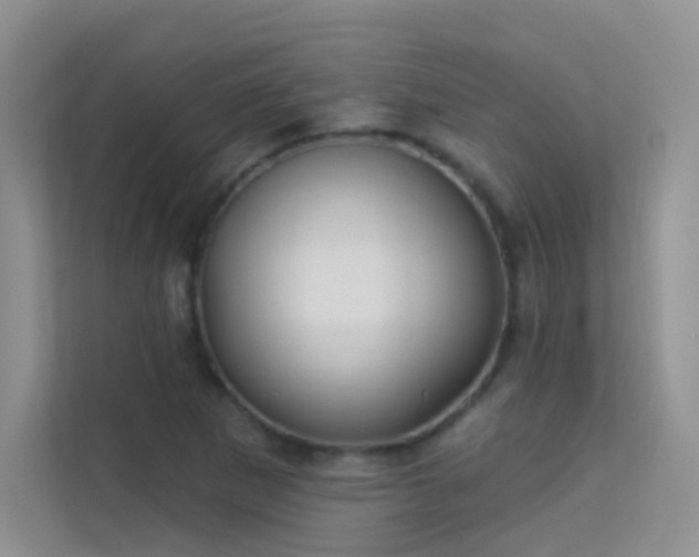 X0000113631265200909251213