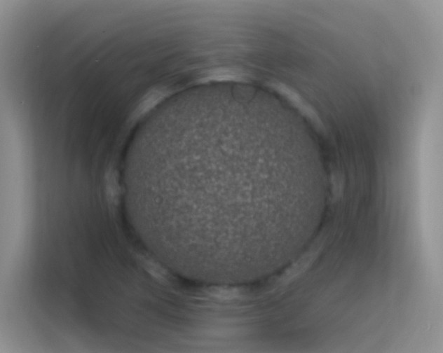 X0000113631266200909251213