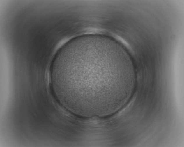 X0000113631267200909251213