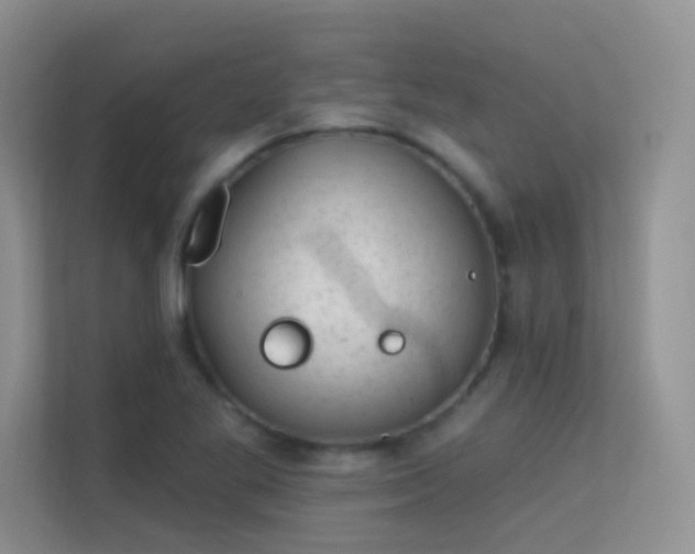 X0000113631269200909251213