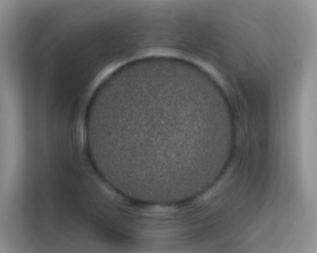 X0000113631271200909251213