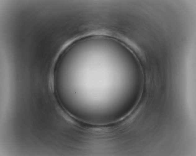 X0000113631272200909251213