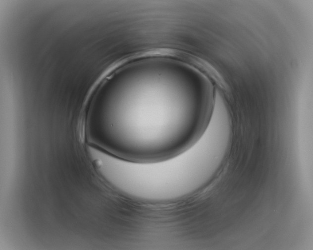 X0000113631276200909251213