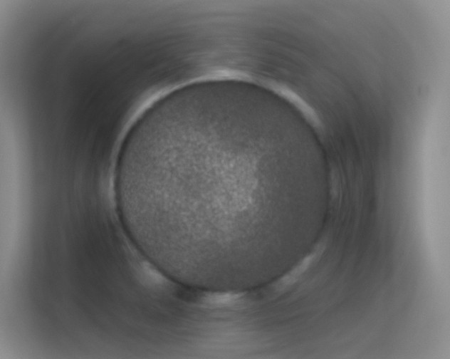 X0000113631278200909251213