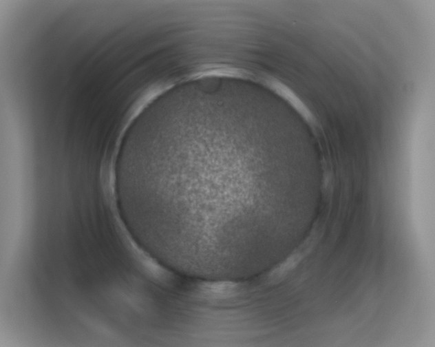 X0000113631282200909251213