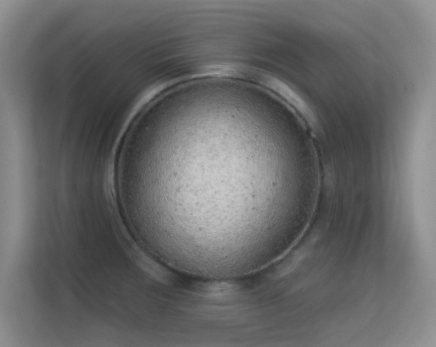 X0000113631283200909251213