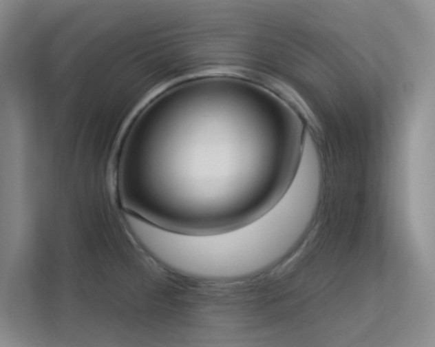 X0000113631284200909251213
