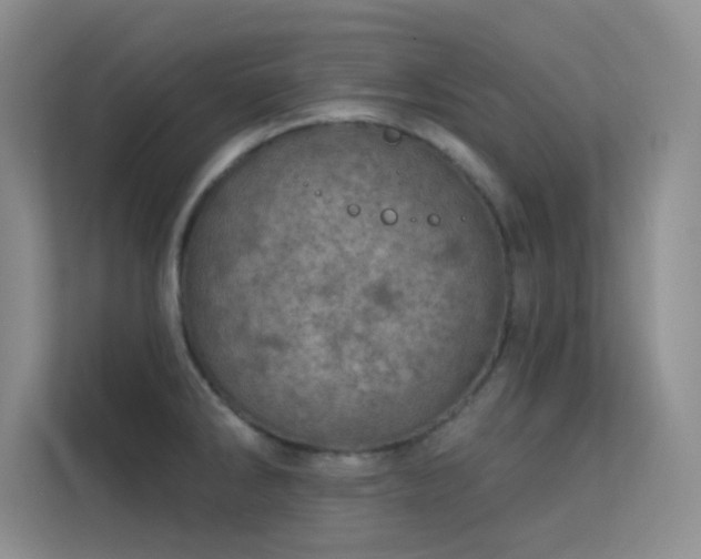 X0000113631286200909251213