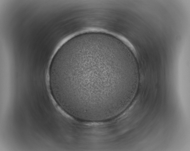 X0000113631287200909251213