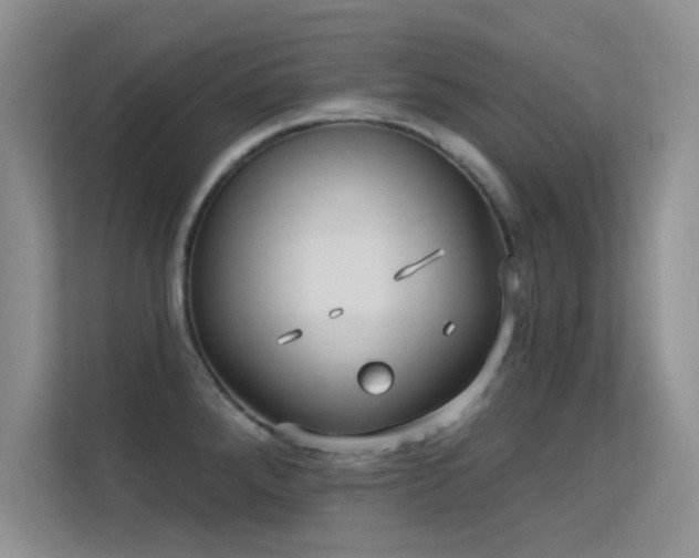 X0000113631288200909251213