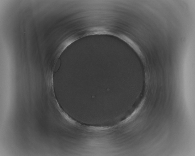 X0000113631289200909251213