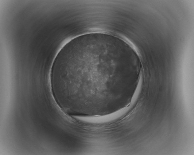 X0000113631291200909251213