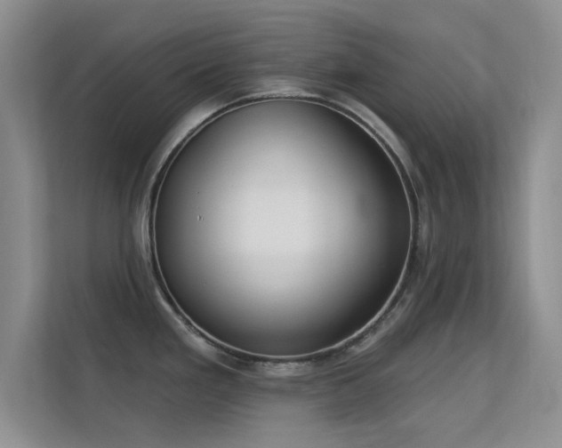 X0000113631293200909251213