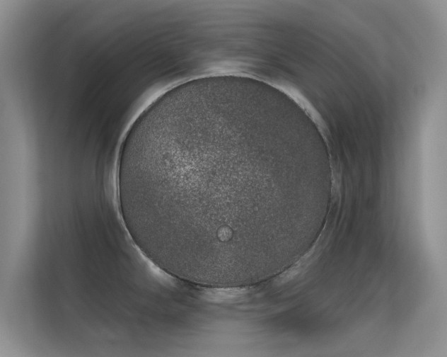 X0000113631294200909251213