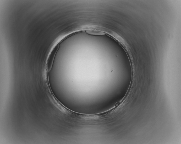 X0000113631296200909251213