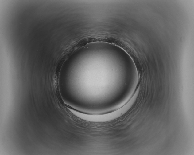 X0000113631298200909251212