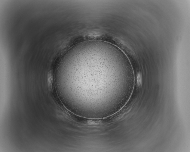 X0000113631299200909251212