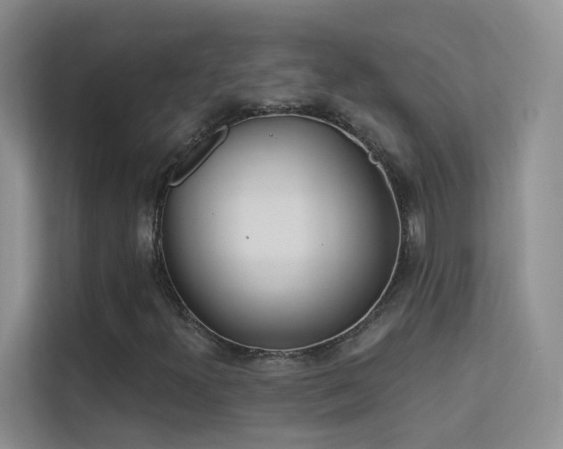 X0000113631300200909251212