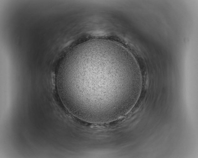 X0000113631301200909251212