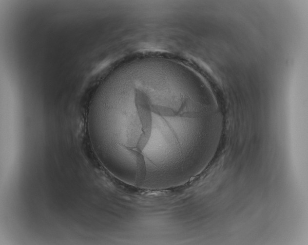 X0000113631303200909251212