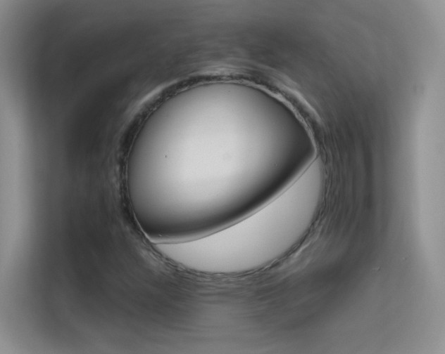 X0000113631304200909251212