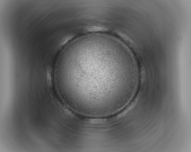 X0000113631305200909251212